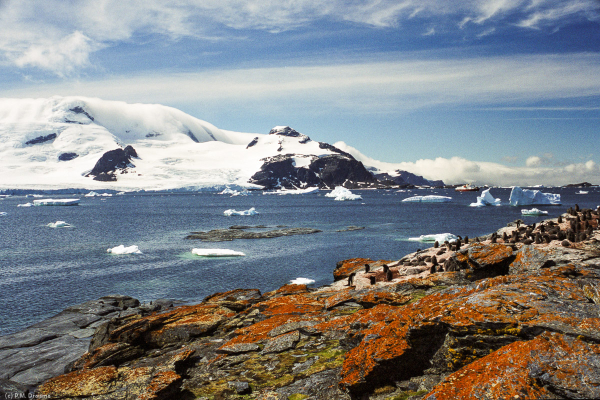 Shingle Cove, Coronation Island, South Orkney Islands