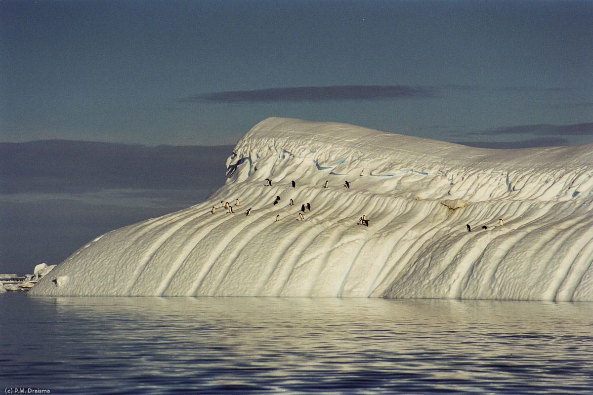 Paulet Island, Antarctica