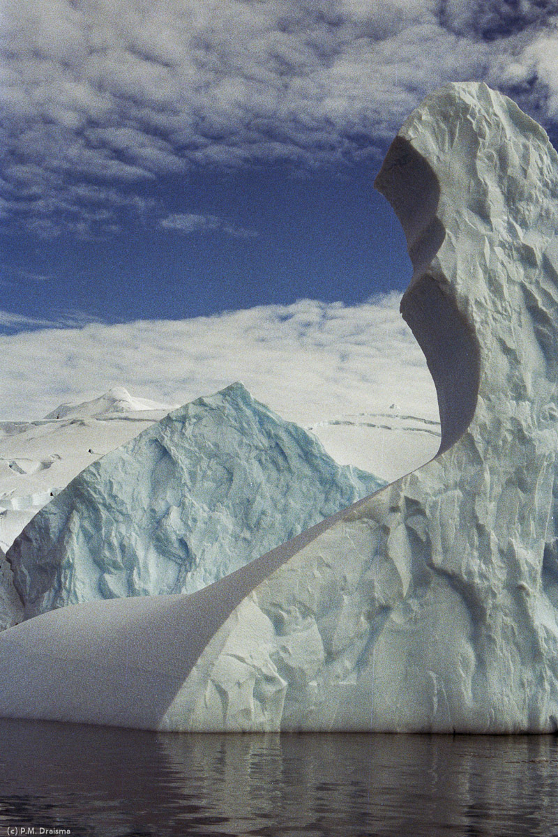 Cierva Cove, Antarctica