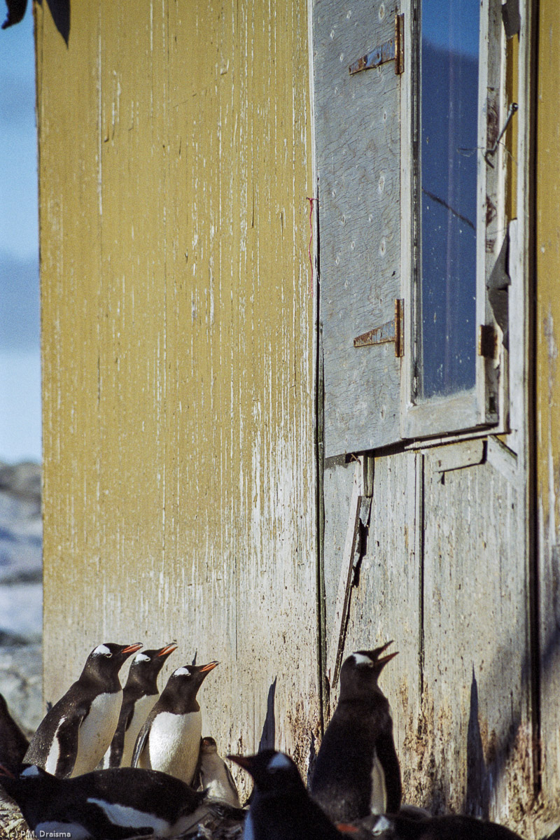 Petermann Island, Lemaire Channel, Antarctica