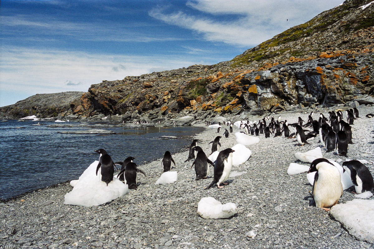 Shingle Cove, Coronation Island, South Orkney Islands