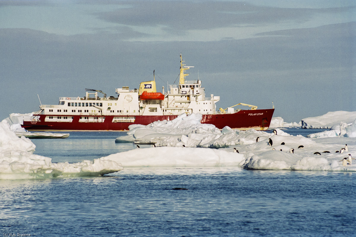 Paulet Island, Antarctica