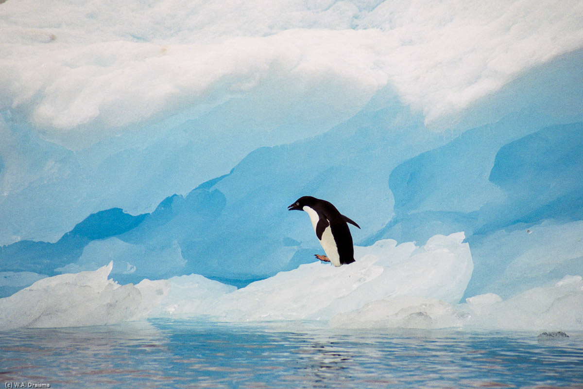 Paulet Island, Antarctica