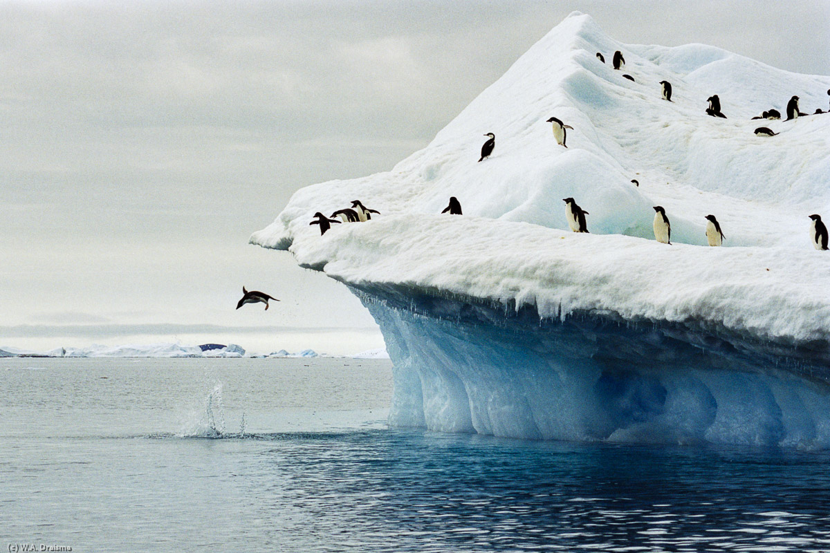 Paulet Island, Antarctica