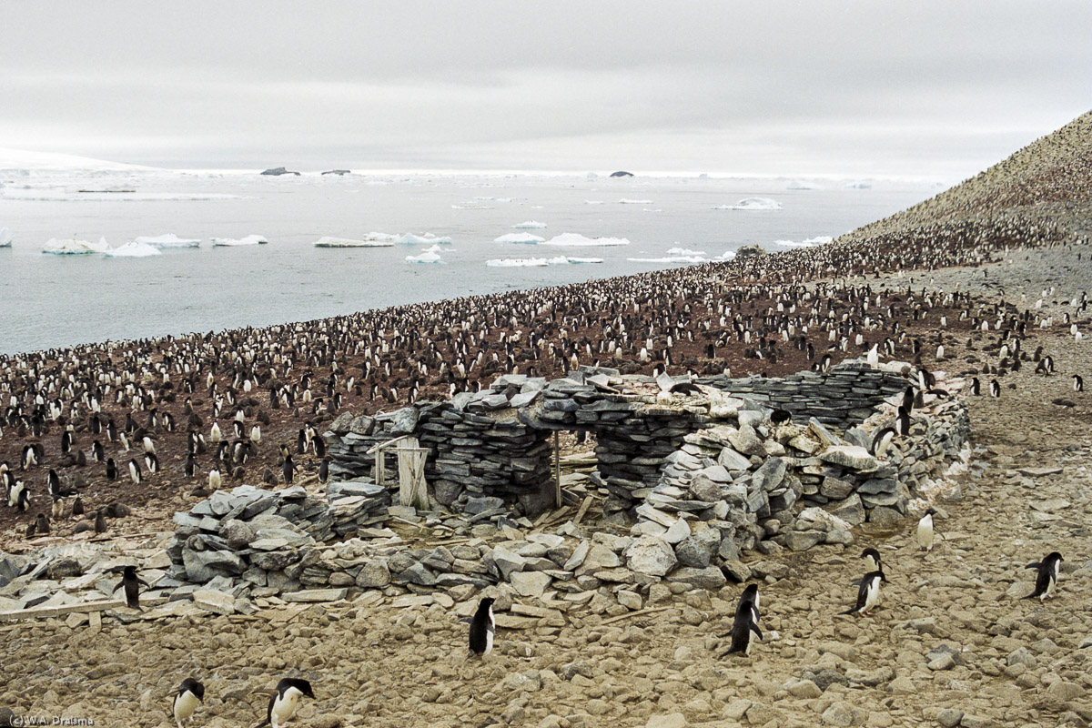 Paulet Island, Antarctica