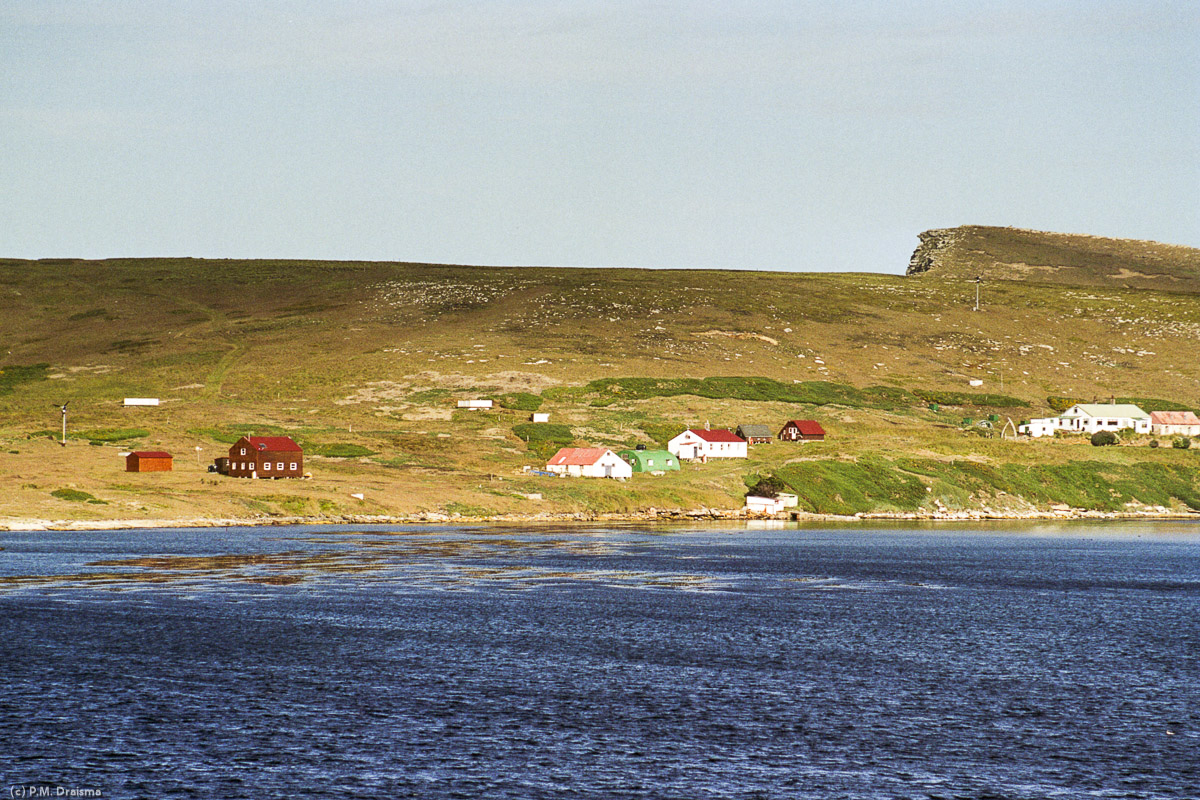 New Island, The Falklands