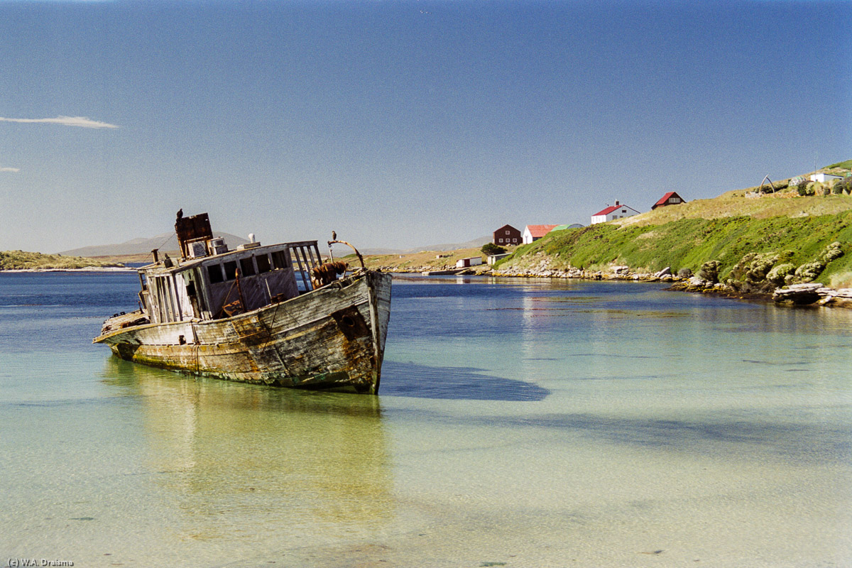 New Island, The Falklands