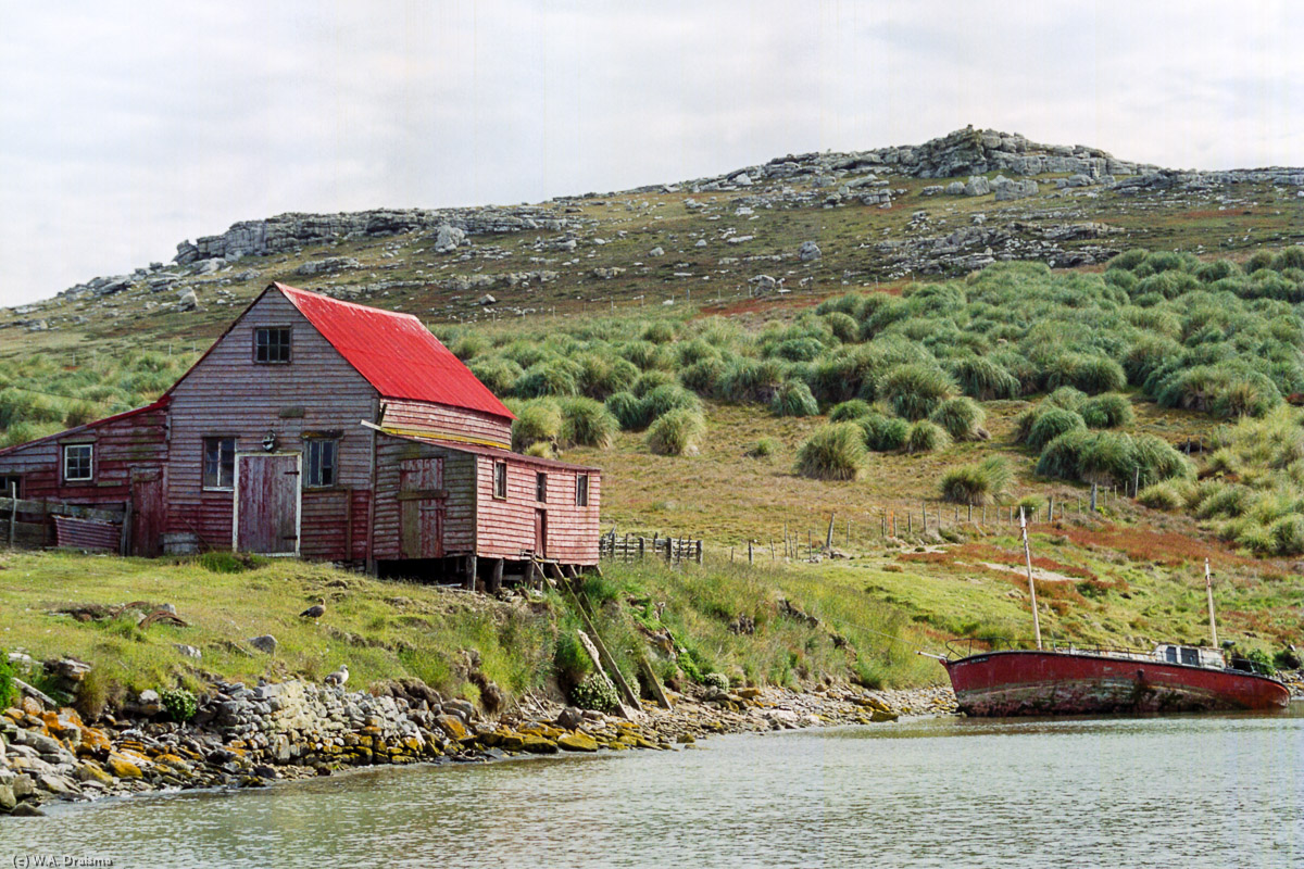 Westpoint Island, The Falklands