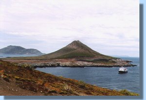 The eastern part of Steeple Jason, off limits due to breeding giant petrels