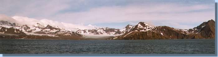 St. Andrews Bay with in the middle the Heaney Glacier and on the left the Cook Glacier