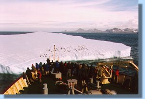 An iceberg in front of us with a number of chinstrap penguins on top of it