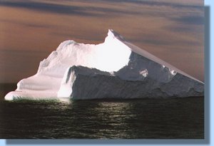 A large iceberg floats by