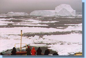 Sailing through the pack ice