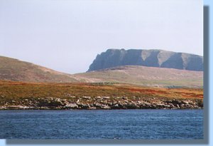 View at New Island, the most westerly inhabited island of the Falklands.