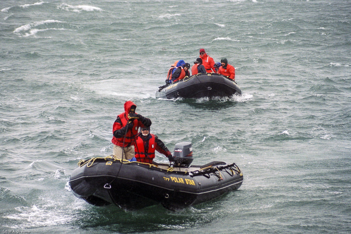 Bay of Isles, South Georgia