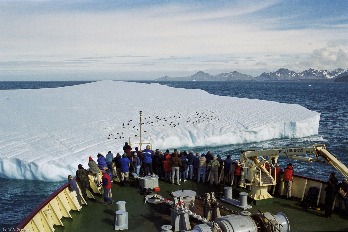 St. Andrews Bay, South Georgia