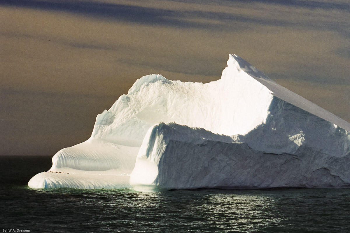 St. Andrews Bay, South Georgia