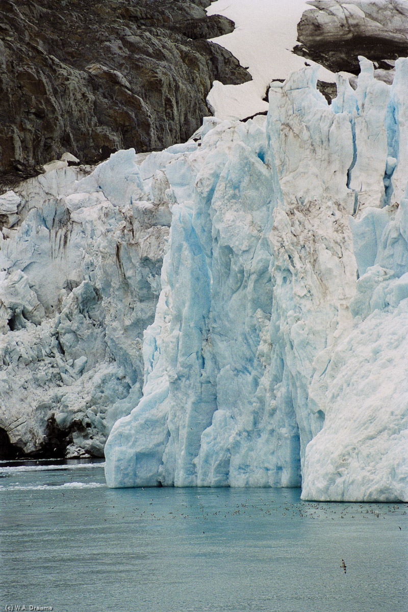 Drygalski Fjord, South Georgia