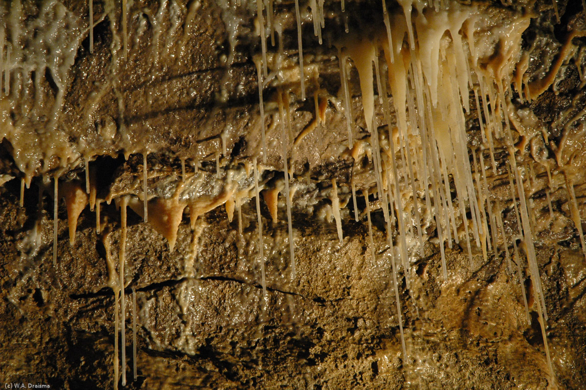 Met 1 cm per eeuw groeien dunne stalactieten aan het plafond