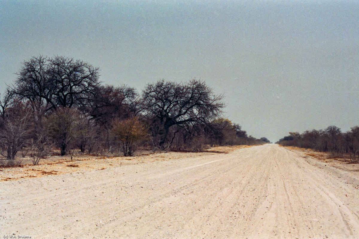 15 September 1992. Arriving from Zimbabwe by steam train we continue our trip towards Maun, hub for the Okavango delta.