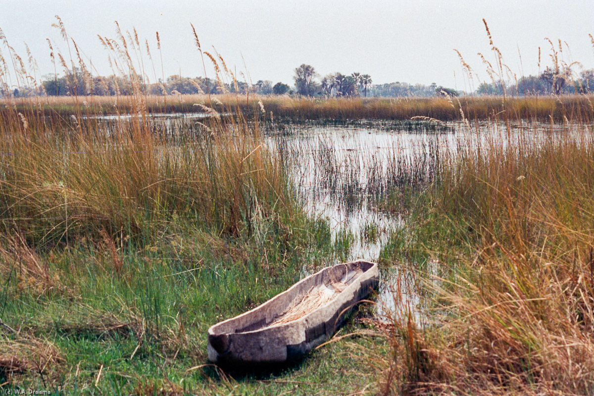 Deep in the Okavango there's no more speed boating and a mokoro becomes the preferred transport medium.