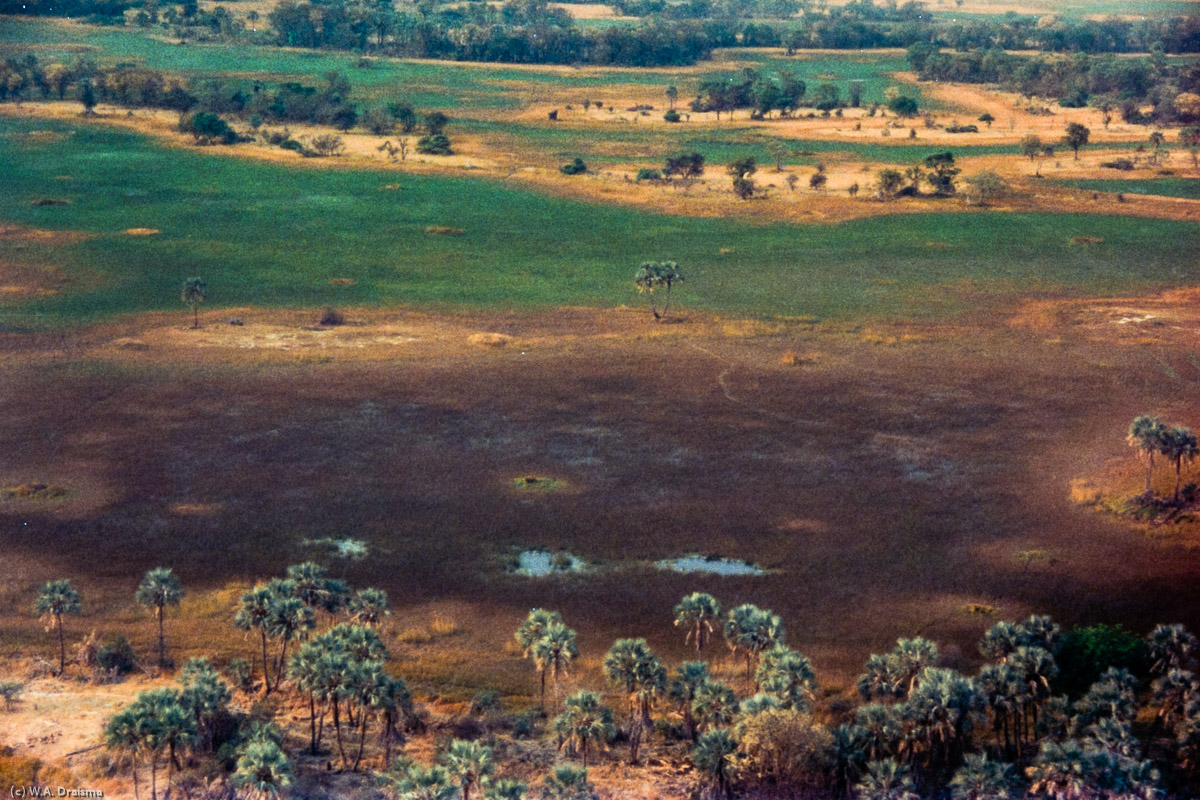 Next day we take off for a flight over the Okavango plains, a seasonally flooded wetland providing wildlife a chance to escape the summer heat.