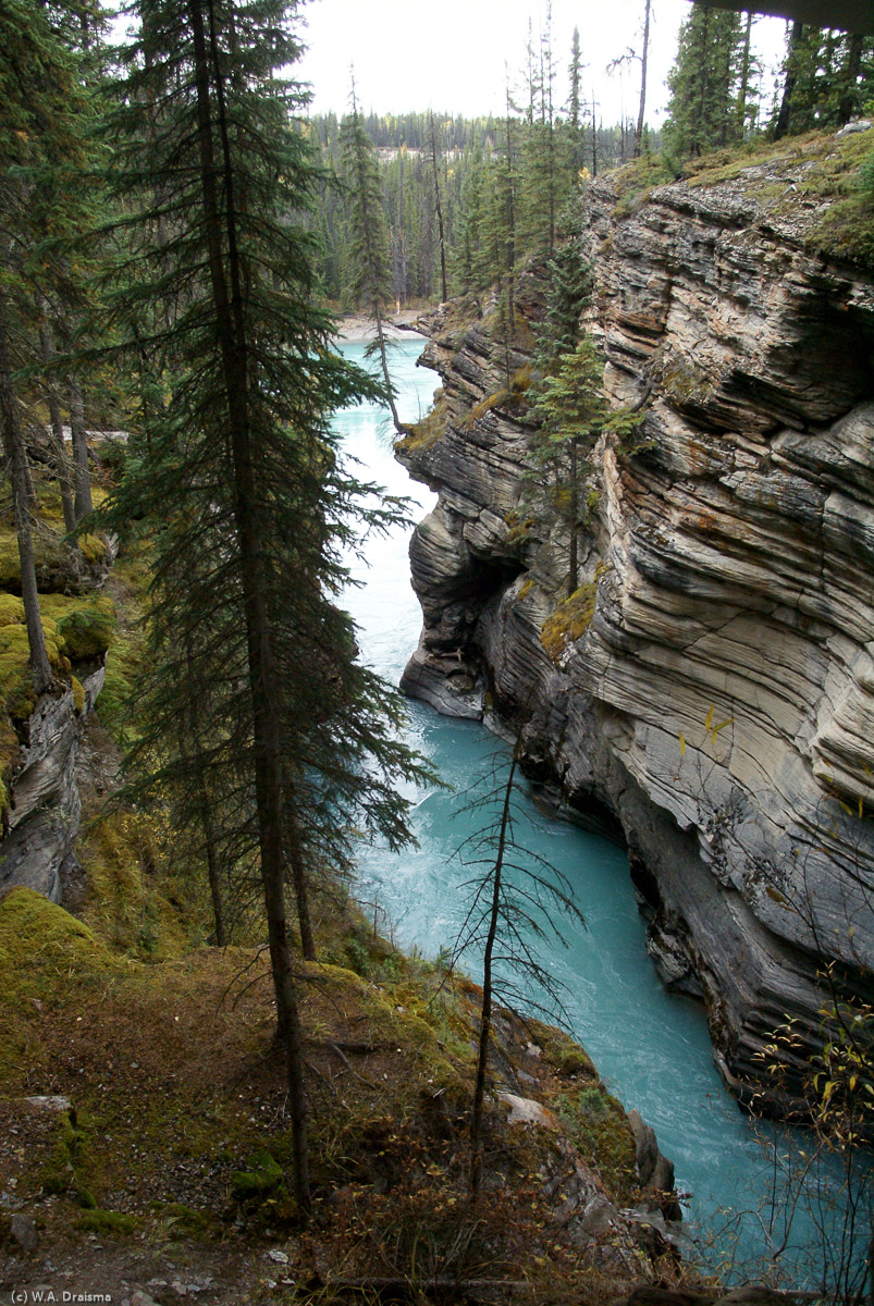 Blue, silt-laden waters flow through deeply cut gorges below Athabasca Falls, 30km south of Jasper.