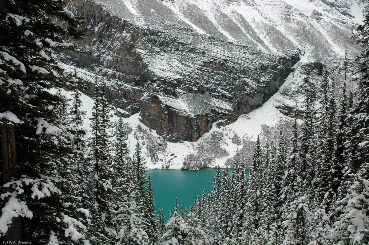 The vivid blue colour of Lake Louise, as seen from the walking trail to Lake Agnes, contrasts starkly with the snow covered surrounding.