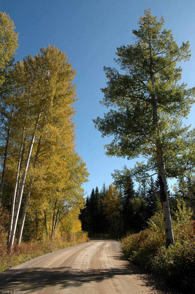 An unpaved road between Osoyoos and Manning Park.