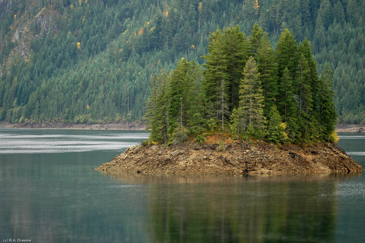 A tiny island in a reservoir somewhere between Gold River and Woss on Vancouver Island.