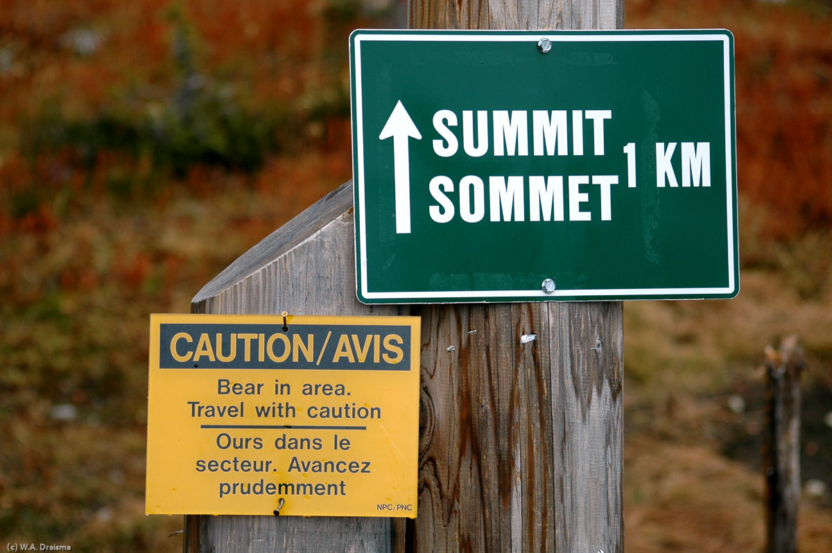 The summit of Mount Revelstoke can be reached via the 26km winding Meadows in the Sky Parkway and the 1km Summit Trail.