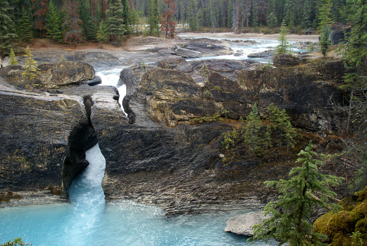 This natural bridge through solid rock in Yoho National Park was created by the Kicking Horse River over millions of years.