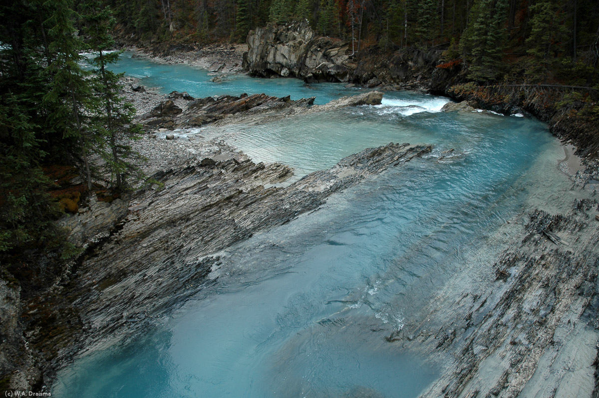 The silt laden waters of the glacial Kicking Horse River show the familiar blue coloration that so beautifully contrasts with the dark coloured rocks of its bedding.