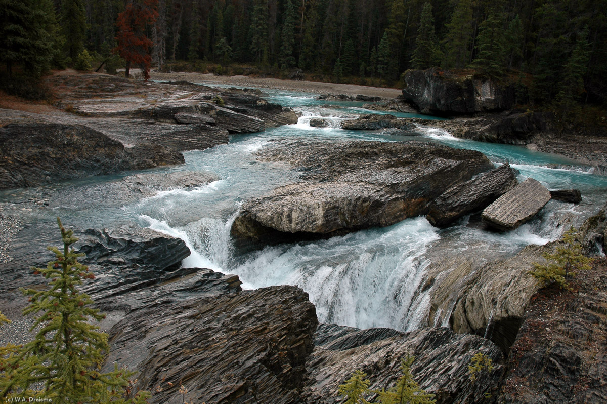 The Kicking Horse River disappears from sight before re-emerging on the other side of the natural bridge.