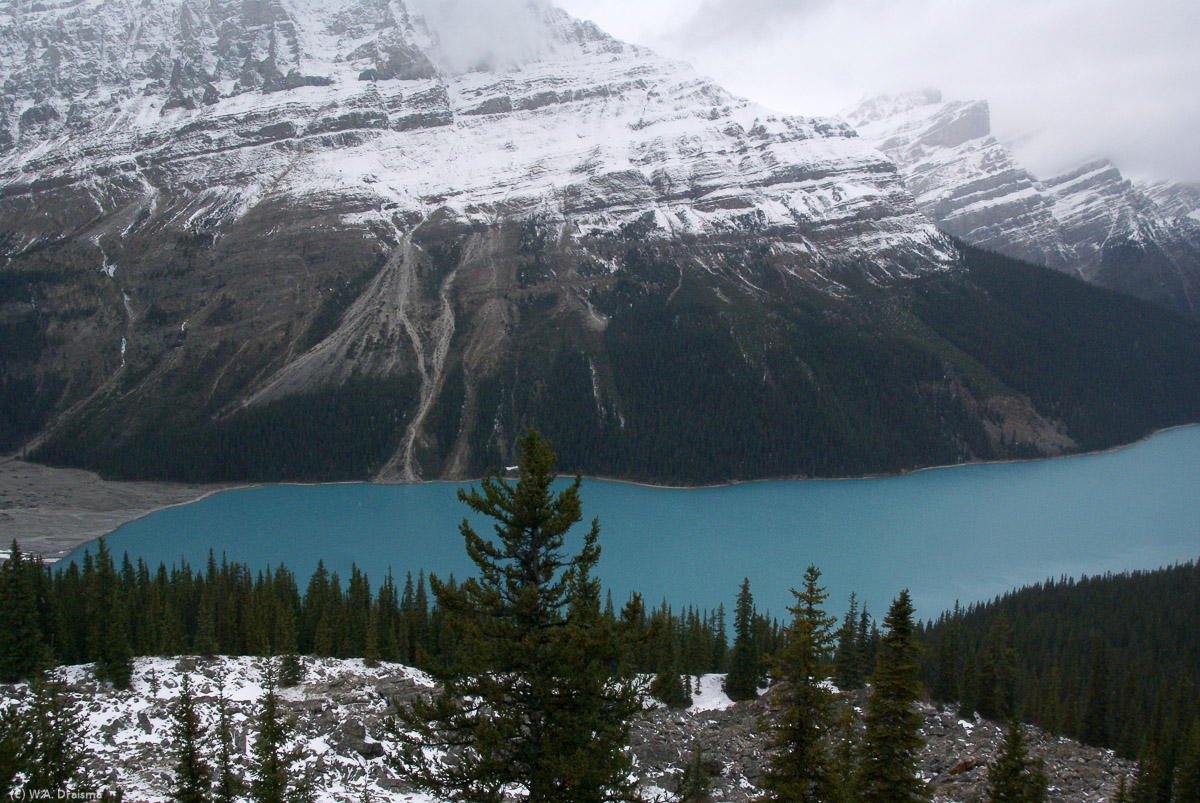 The upper parking was already inaccessible because of snow and ice, and the trail was difficult in places for the same reasons but we managed to get to Peyto Lake's viewing platform.