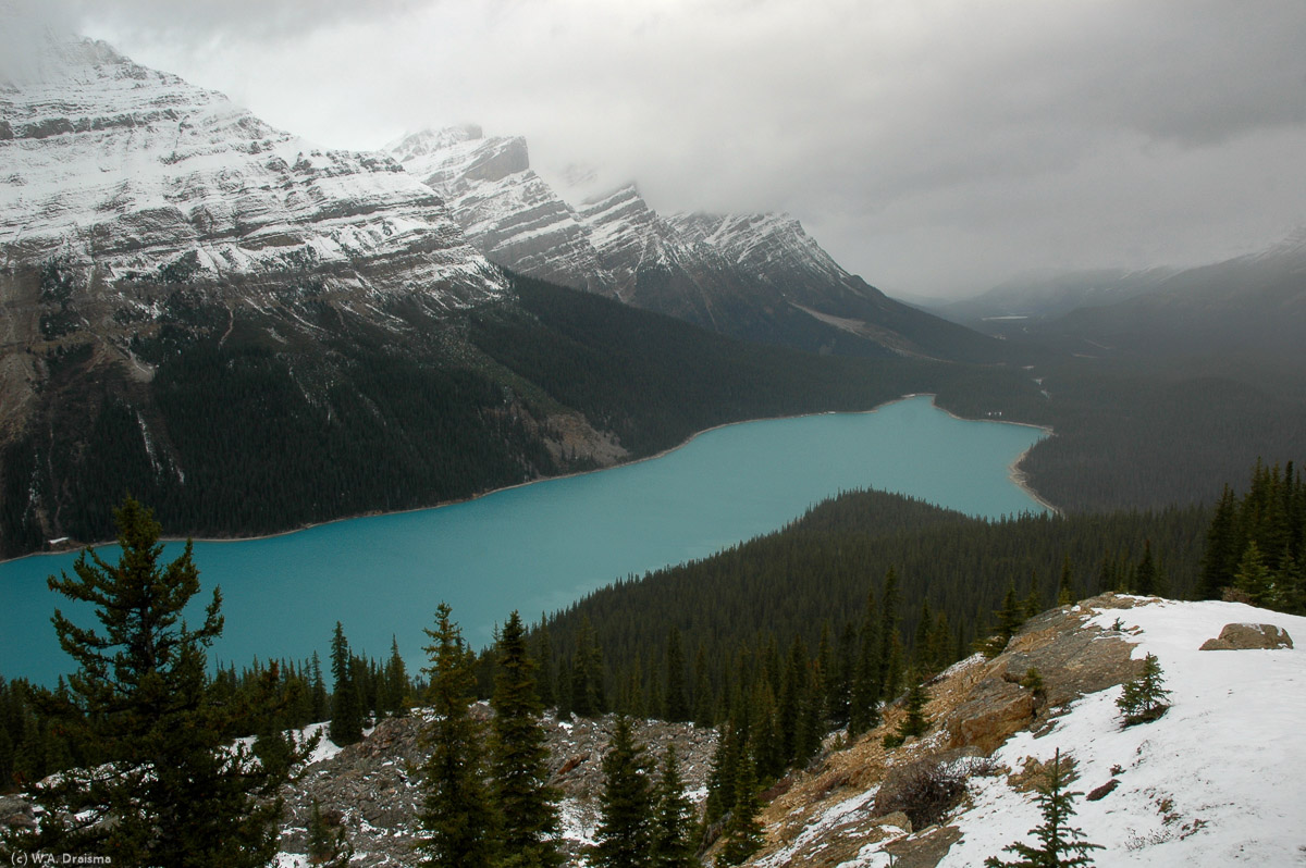 Peyto Lake, named after park warden Bill Peyto is normally one of the park's busiest spots. Today, late in October only one person shared the viewpoint with us.