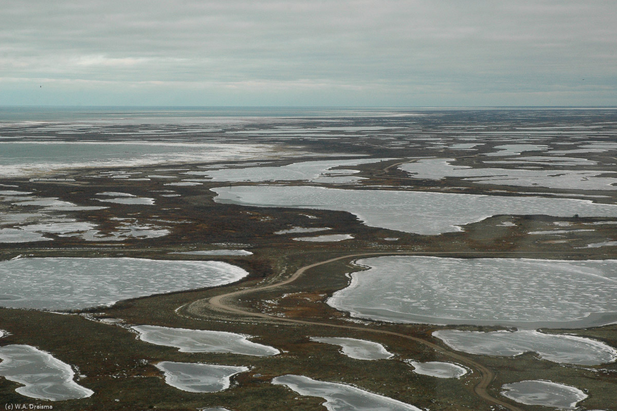 On the first day in Churchill we take a helicopter ride out into Wapusk National Park. While the many lakes of this marshy area are already frozen, the Hudson Bay still isn't.