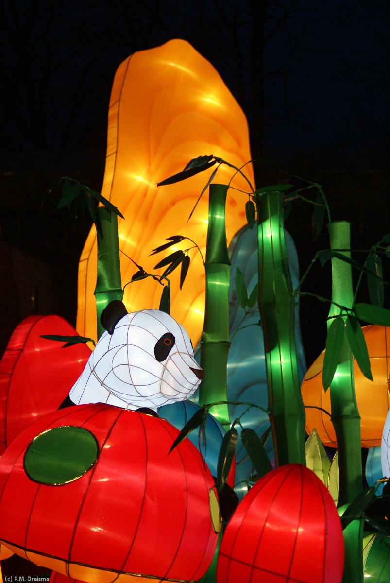 At the same time an elder panda bear sits between bamboos and colorful mushrooms.