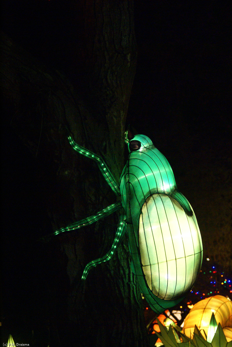 At the same time a bug climbs the trunk of the same tree.