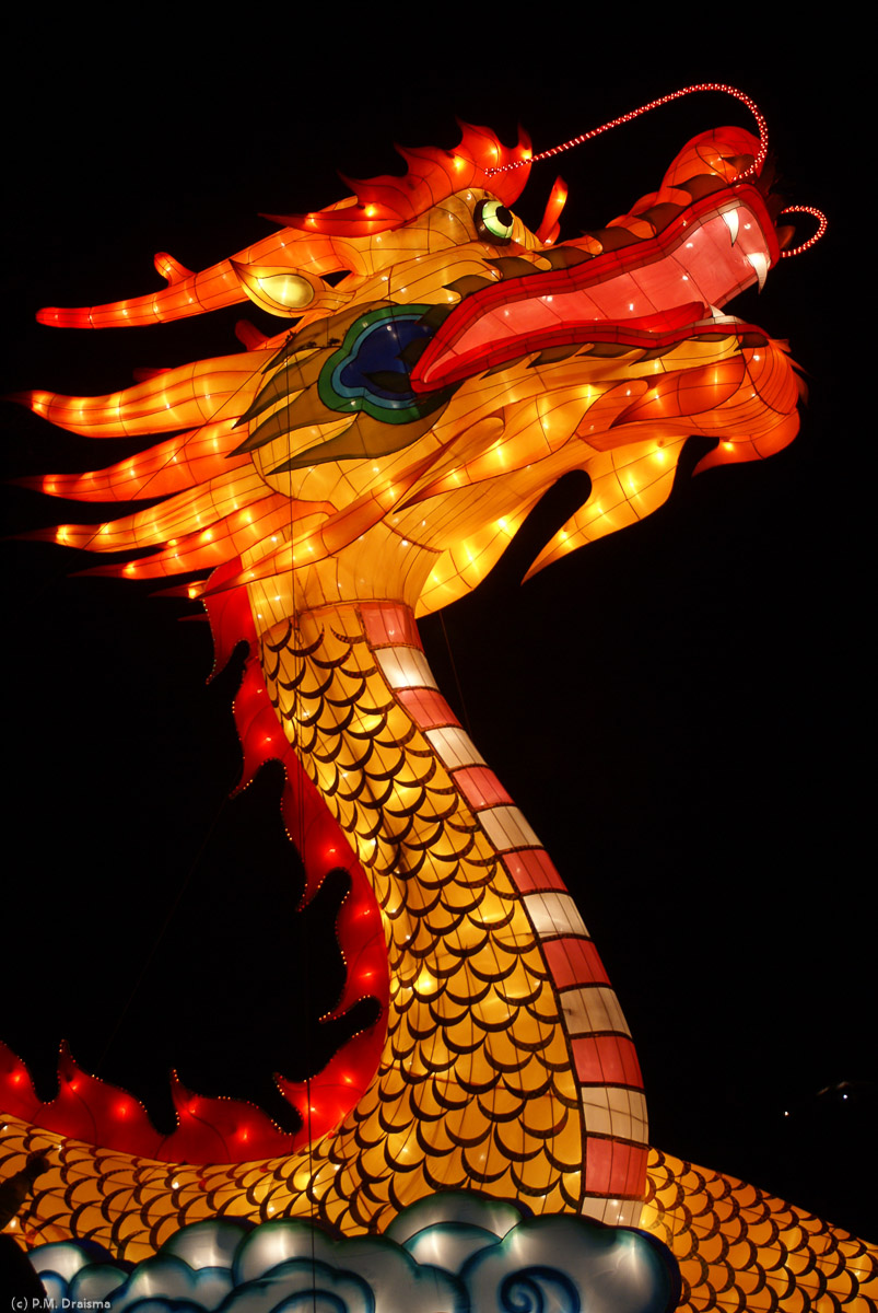 The dragon symbolizes luck and prosperity.