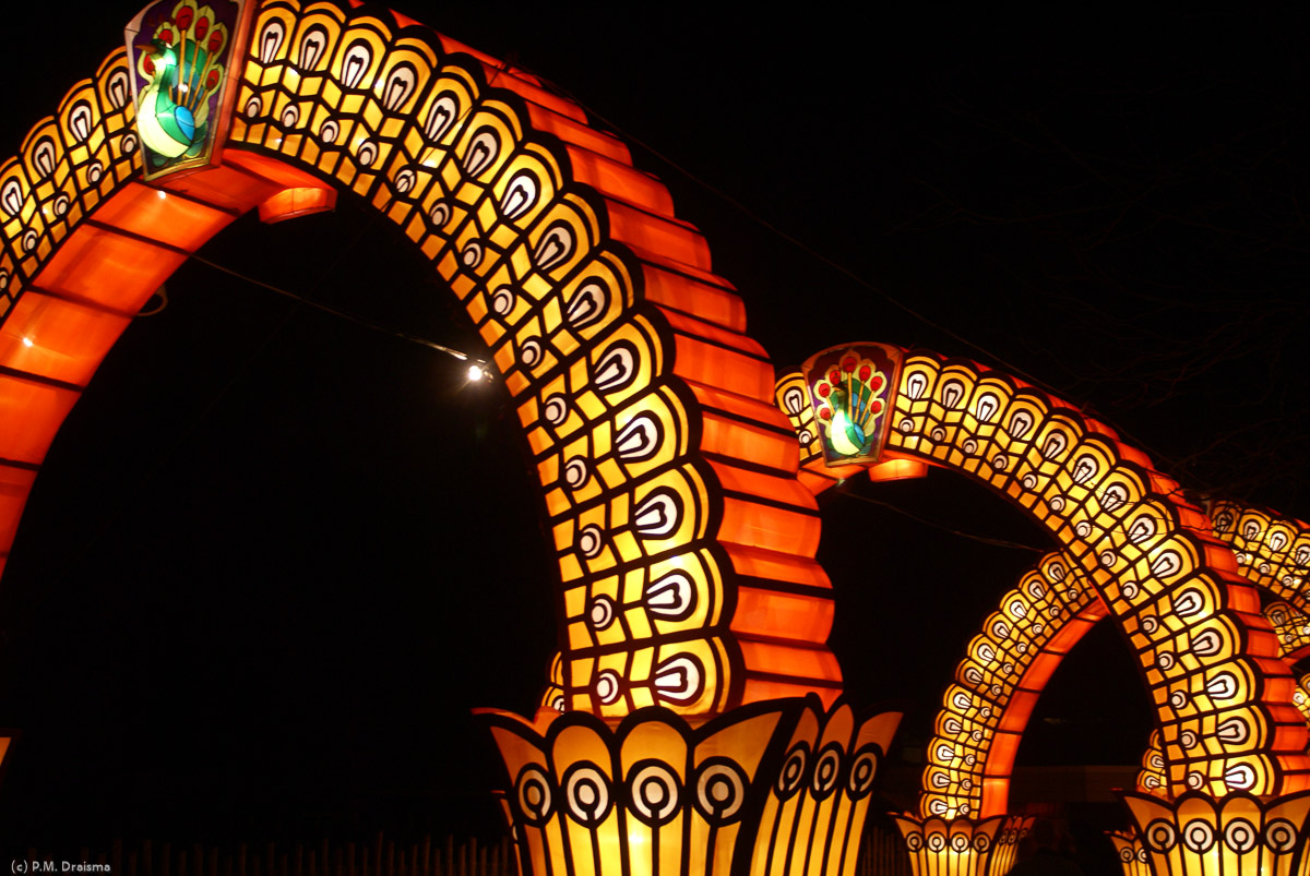 The peacock's beauty and splendor are clearly visible in the arches.