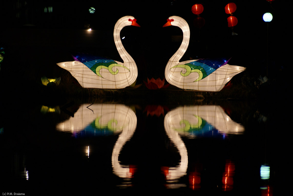 Again the absence of wind turns the water of the pond into a beautiful mirror.