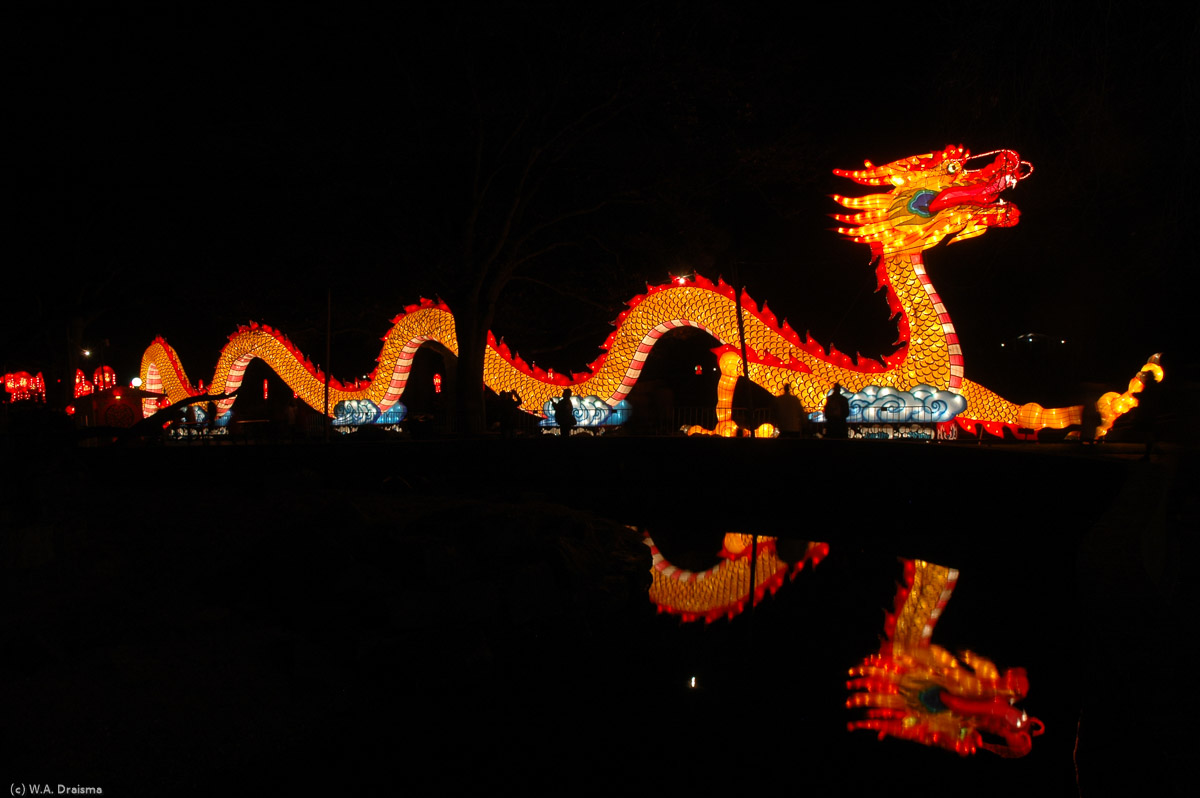 And then, the China Festival of Light's most impressive sculpture, an awesome dragon.