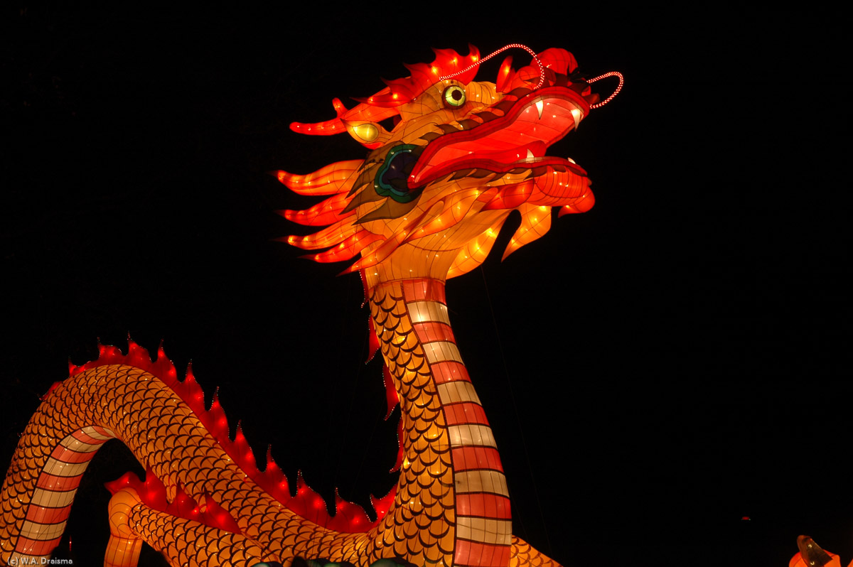 For over 8000 years the dragon is China's most important symbol.
