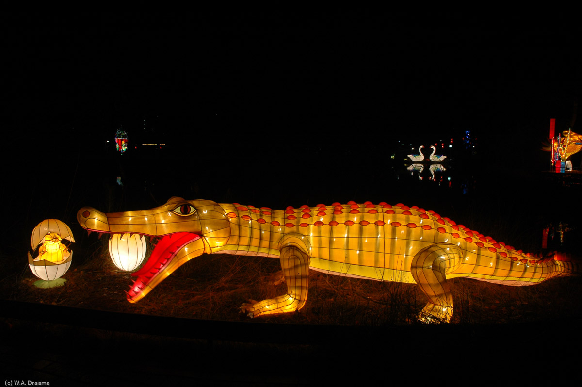 In the wild the alligator's habitat has been reduced to little more than a few ponds containing a small number of animals along the lower Yangtze River.