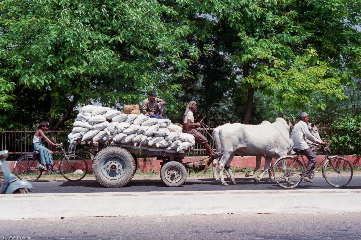 Oxcart, Agra