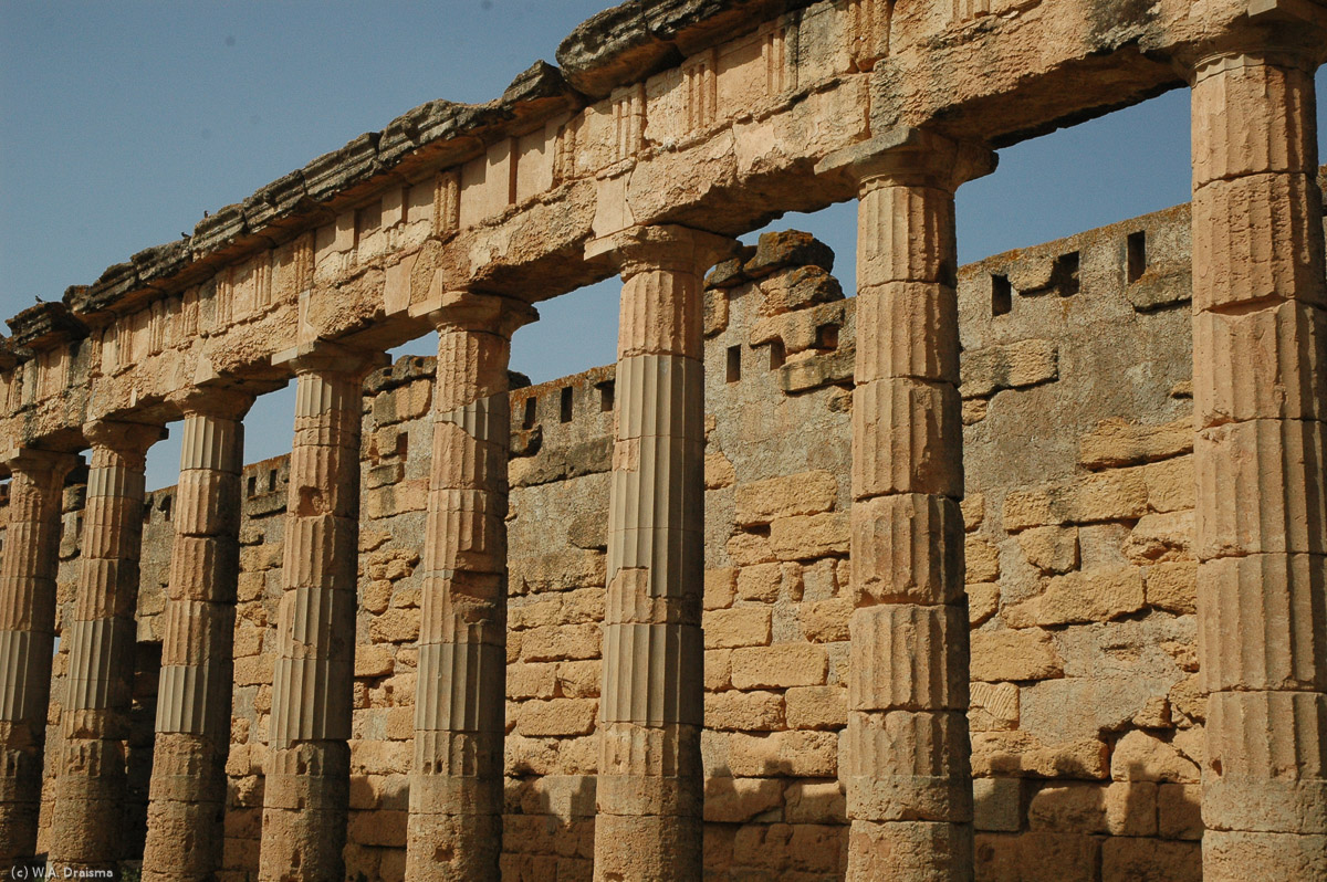 The open palaestra or excercise area, used for races and other sporting contests, was surrounded by Doric columns on four sides.