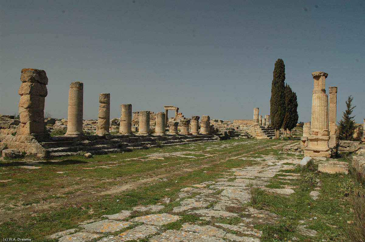 The main road through Cyrene was known as the Skyrota. It is still lined with impressive columns. During Roman times it became a monumental passageway linking the forum to the agora.