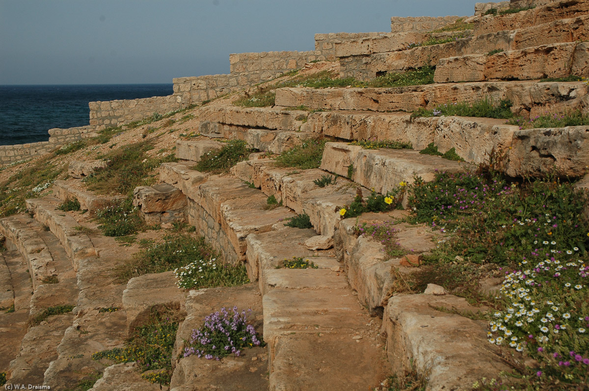Nature slowly reclaims the remains of the ancient city of Apollonia.