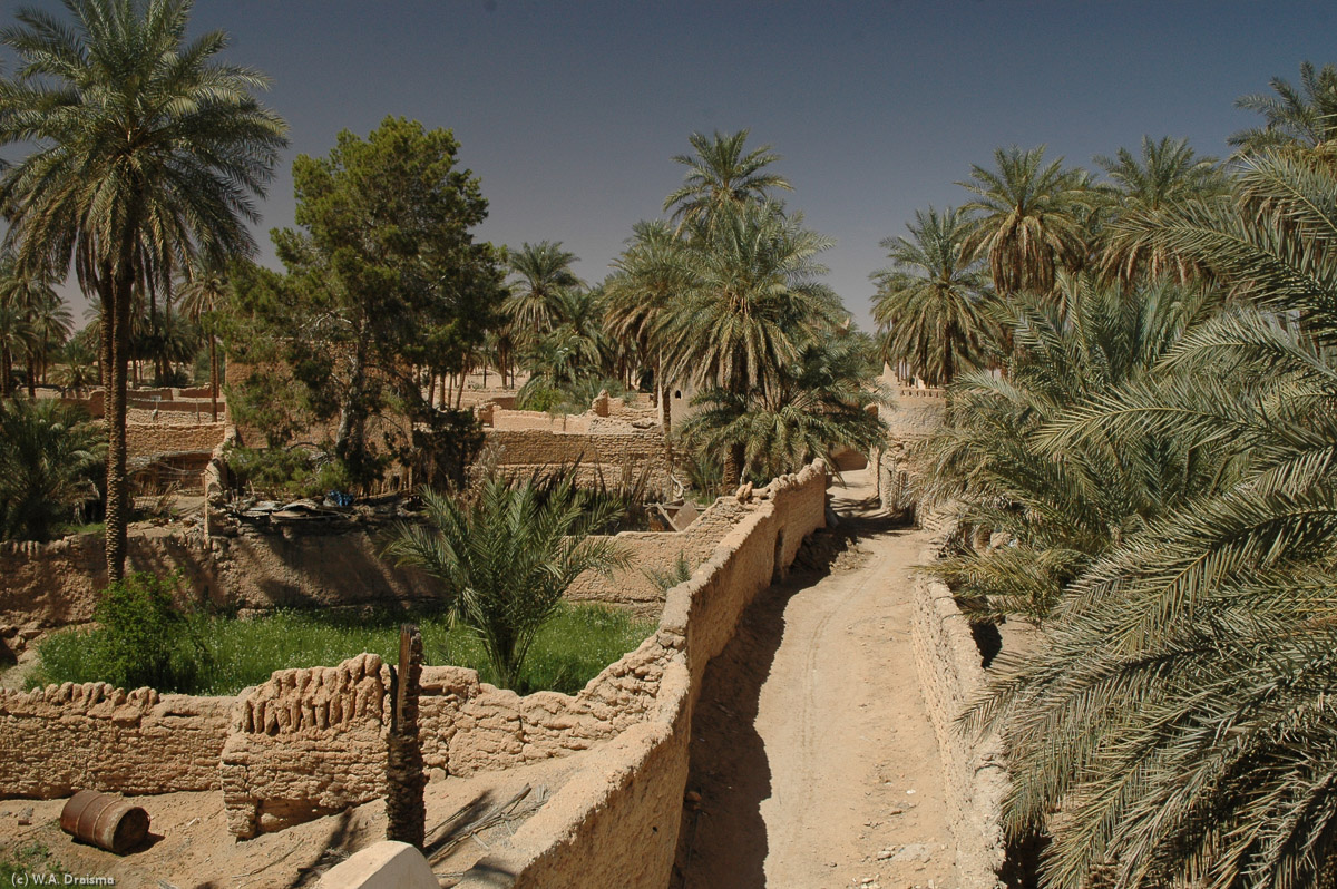 Many of the gardens surrounding the covered areas of the city are still in use. Also the houses are still in the posession of the original families and many return regularly to carry out maintenance. Some even move back into their old houses within the cool walls of the old town during summer.